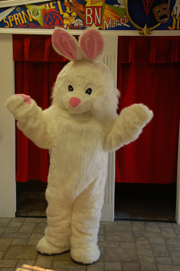 Rabbit Mascot--Long Hair