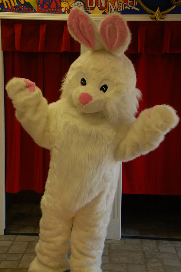 Rabbit Mascot--Long Hair