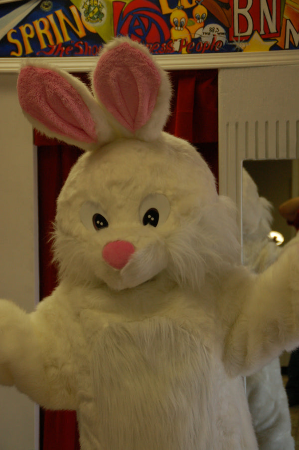 Rabbit Mascot--Long Hair