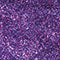 Ben Nye Aqua Glitter