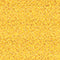 files/CSC-2-Gold_ec120933-d41e-43b6-b62b-011ffaacbc2e.jpg