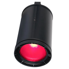 Fuze Pendant; 230W RGBWL LED Pendant