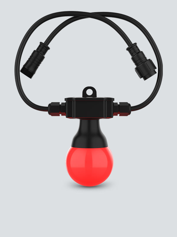Festoon 2 RGB