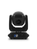 files/INTIMIDATOR-BEAM-360X-back.png