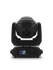 files/INTIMIDATOR-SPOT-360X-back.png