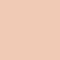 Ben Nye Color Cake Foundation