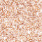 Ben Nye ProColor Airbrush Paints Shimmer Series