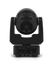 files/SENTINEL-WASH-Q7Z-ILS-BACK.png