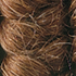 files/WH09_92f178f6-d325-4379-9a09-20c34060025b.png