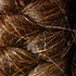 files/WH11_efb25847-658d-4fab-b22e-2f9878cf094c.png