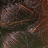 files/WH12_05ecf369-5f55-4da2-a49e-addb20c4afd3.png