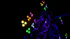 files/Wash-FX-Hex-fx5.png