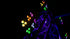 files/Wash-FX-Hex-fx5.webp