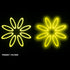 files/a6af0af877786db2cf3ba1a121ab6b352254a1bc_FOC858__IMG__006__ae38a9ccc032.jpg