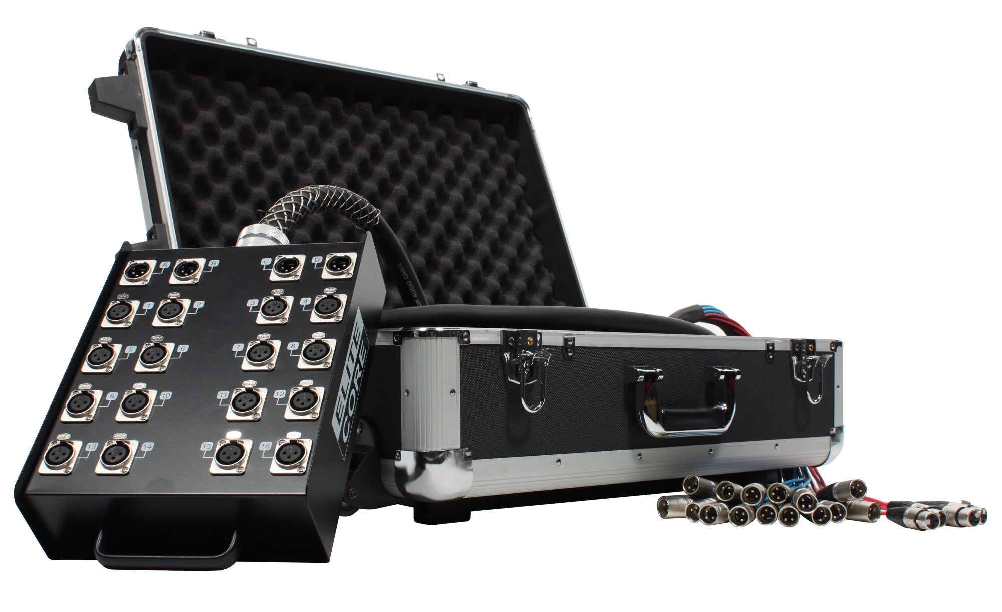 Elite Core 6 Channel 30ft Professional Audio Stage Snake Cable - Balanced XLR Connectors